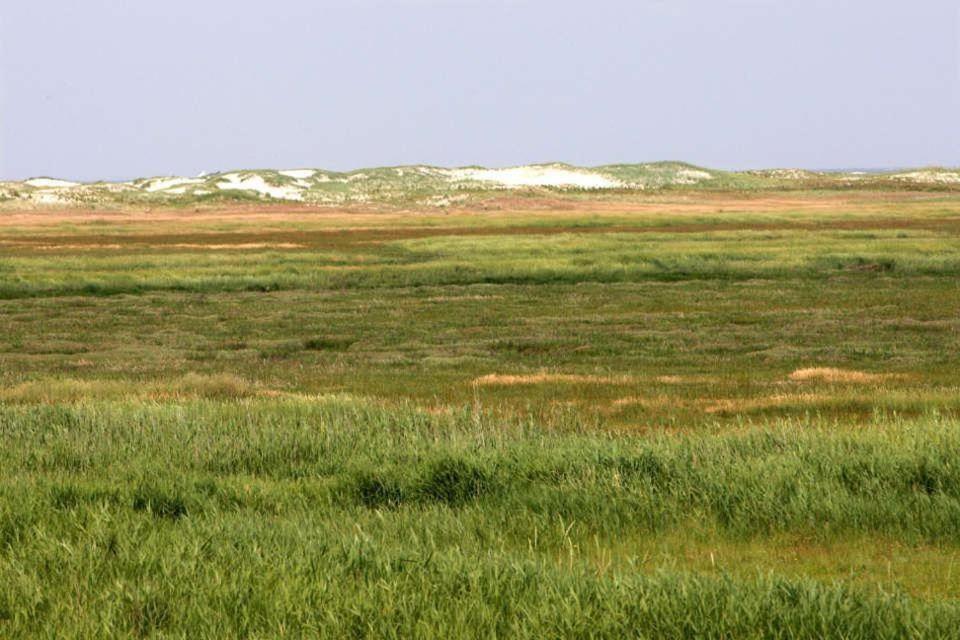 Ferienwohnung-Soltau-1-Og-Rechts Sankt Peter-Ording Luaran gambar